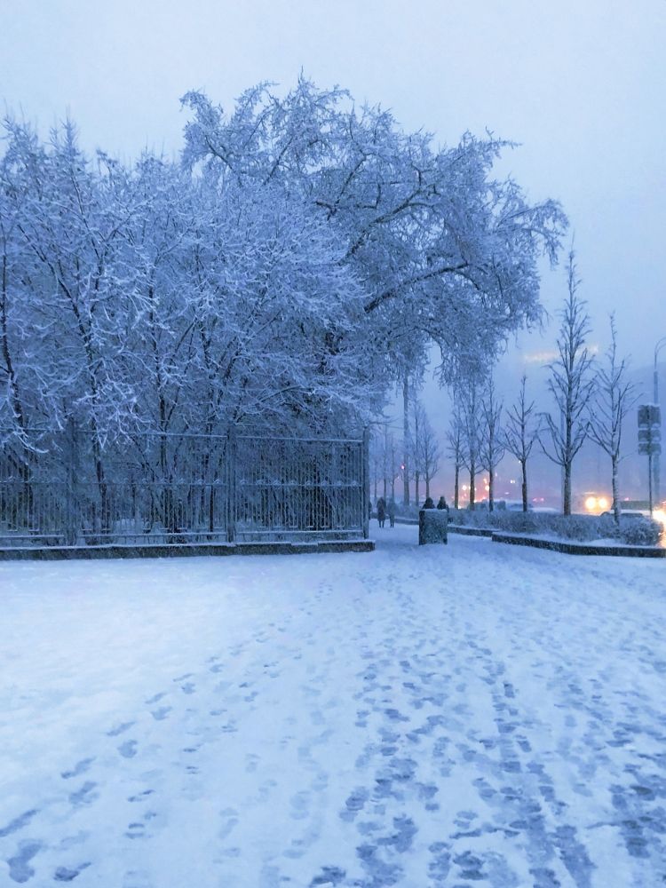 Photograph by Ольга Заповедная