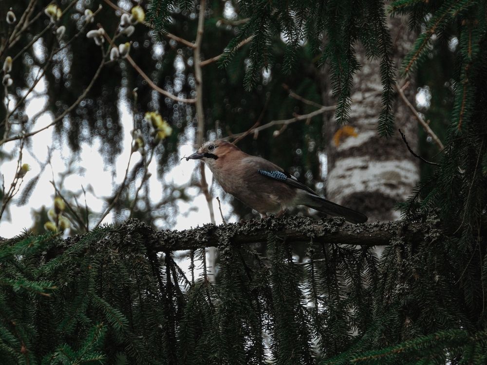 Photograph by Владислав Данилов