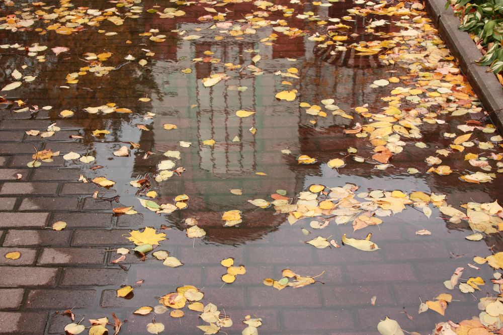 Московский театр Новая опера имени Е.В. Колобова, отражение