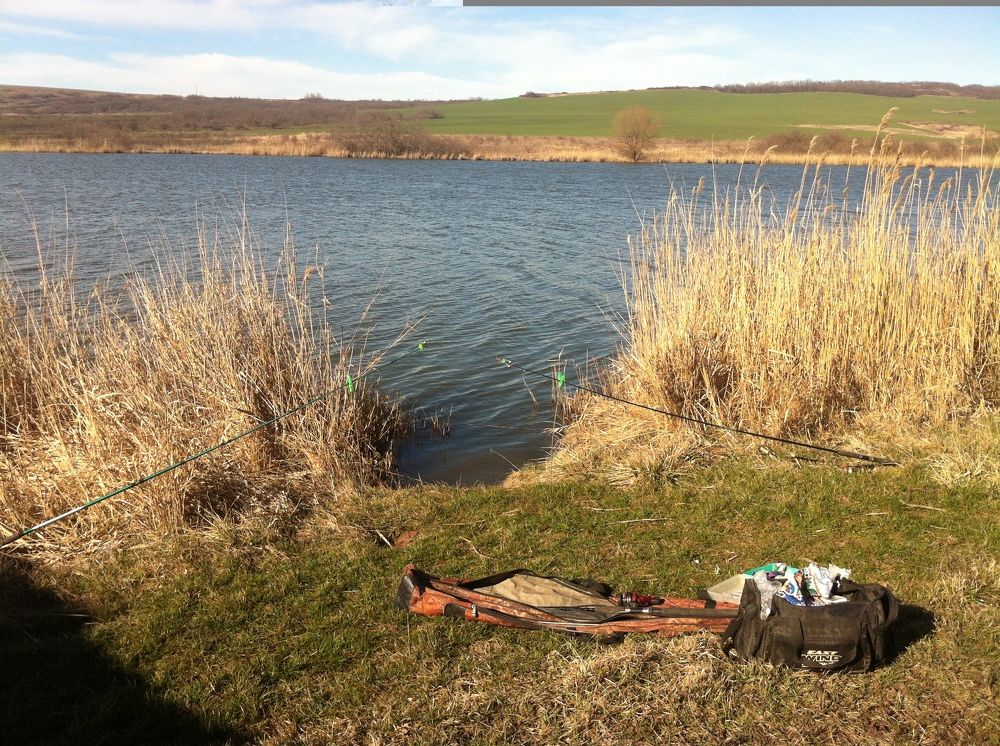 Photograph by Елена Титова