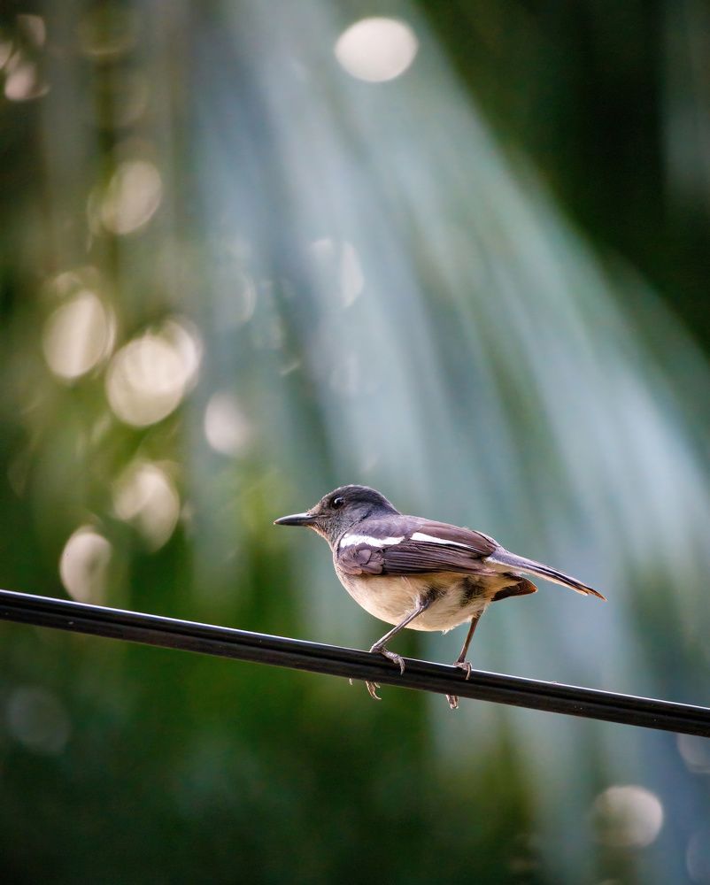 Photograph by Nikolai Mihhailov