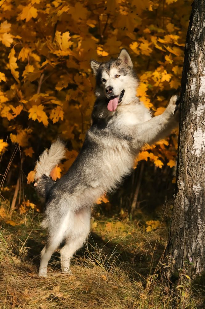 Photograph by Наталья Гайдукевич