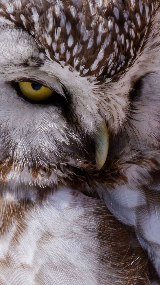 Photograph by Виталий Бодрягин