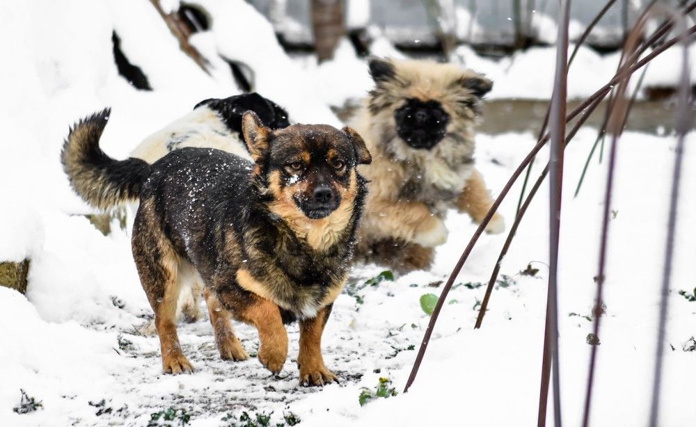 Photograph by Дарья Беляк