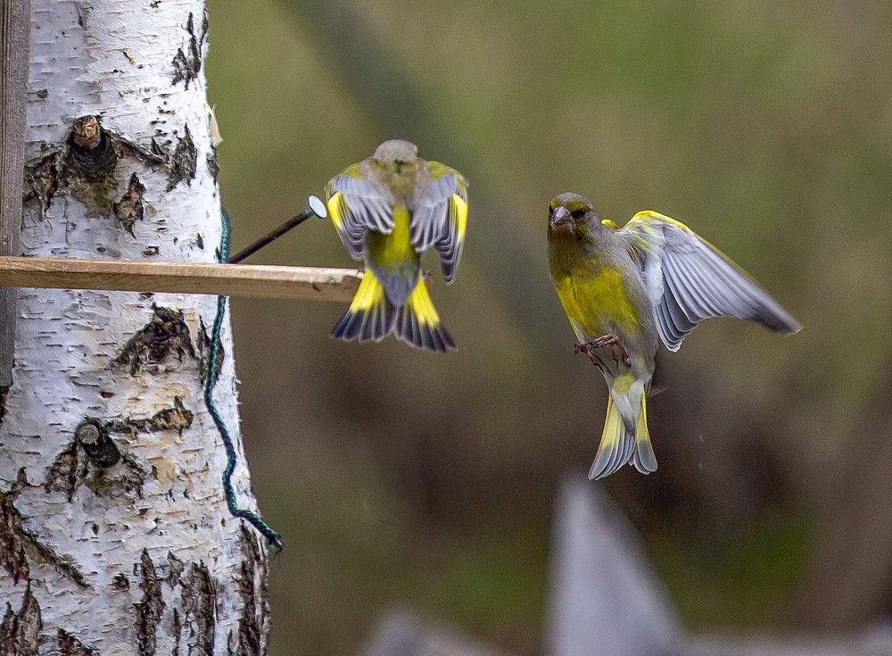 - Ты кто такой?