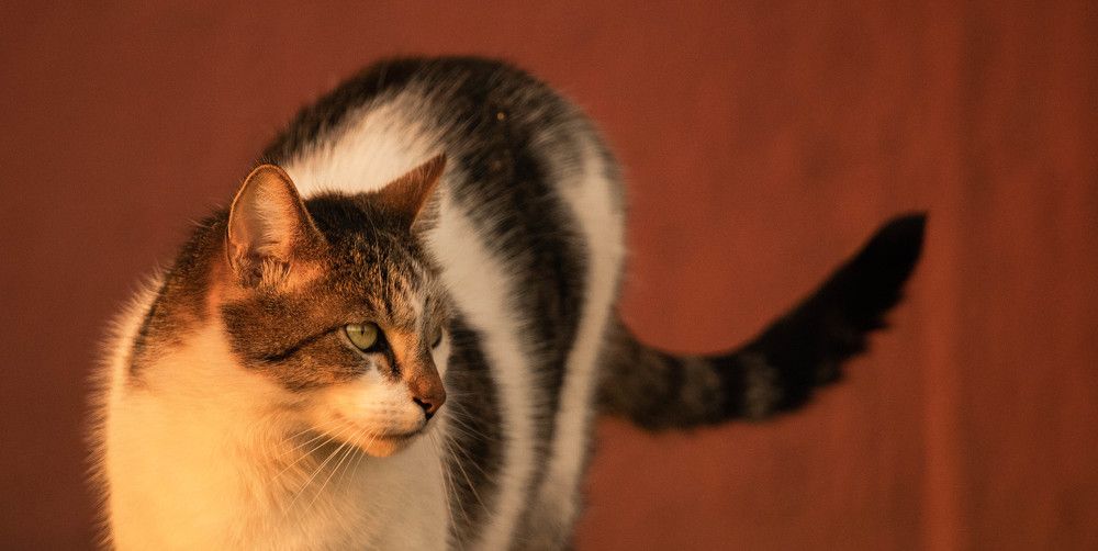 Photograph by Дима Захаров