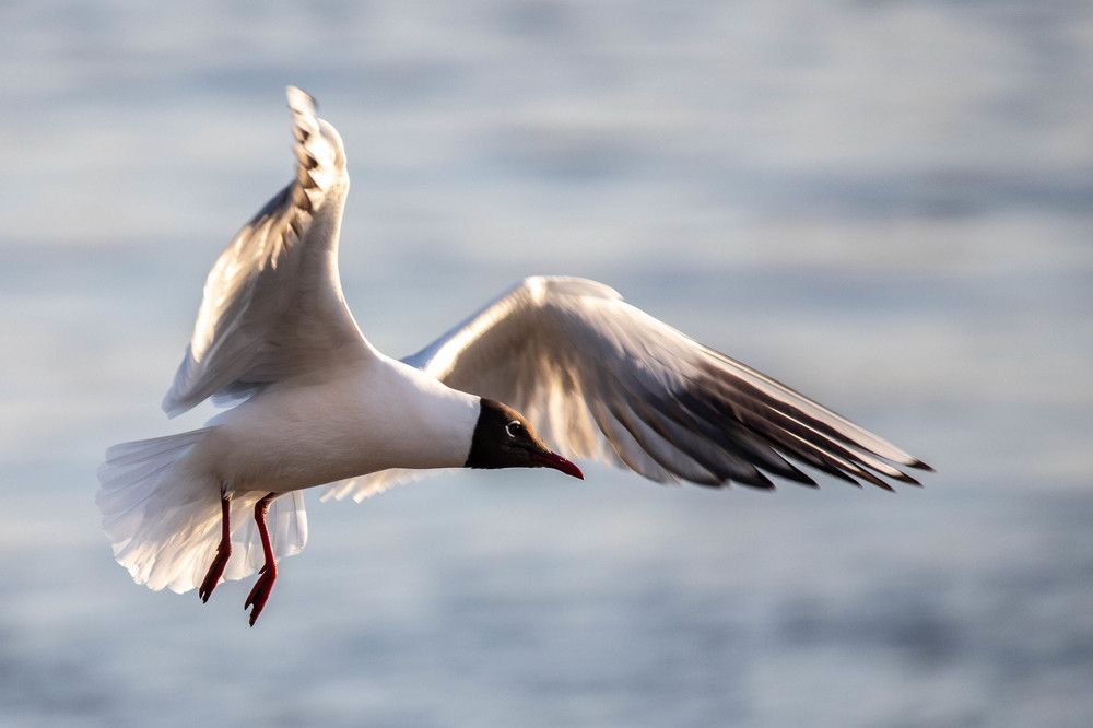 Photograph by Дима Захаров