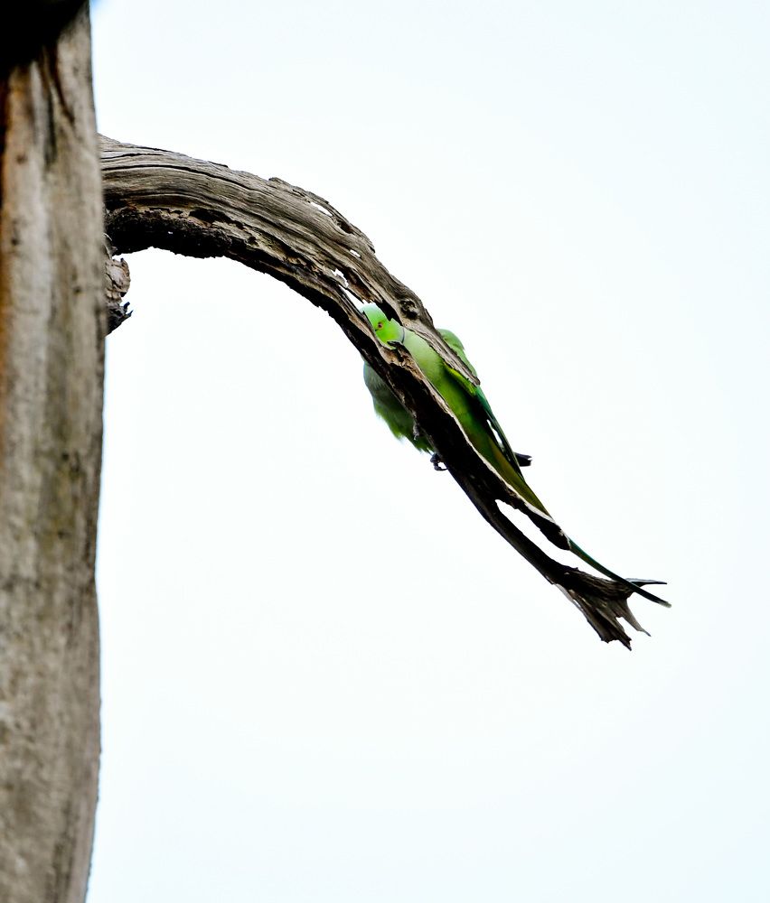 Photograph by Mihail Bacalu