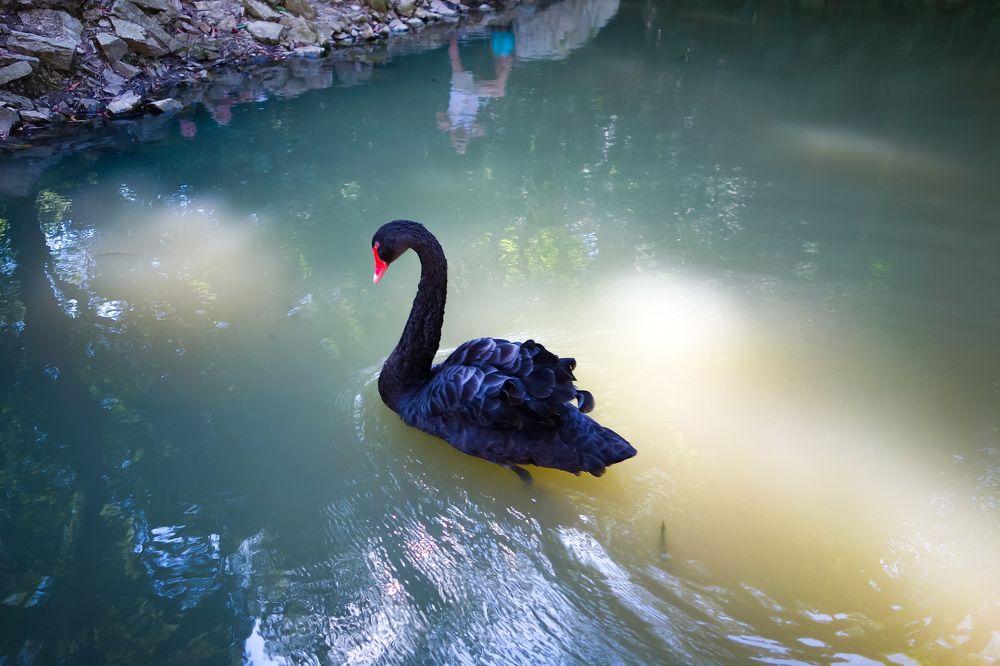 Фотография автора Валентина Рихмаер