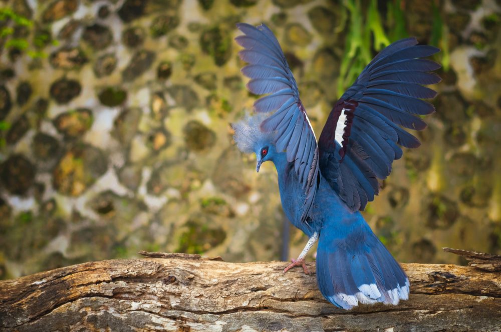 Photograph by Kirkamon Cabello