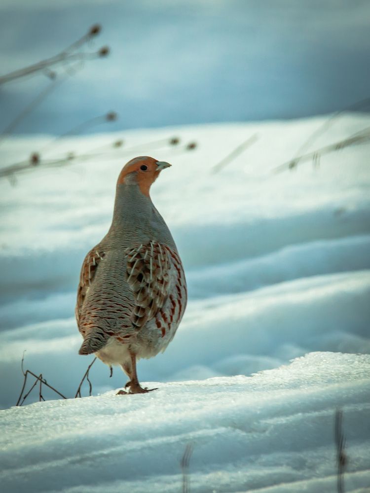 Photograph by Андрей Иванов