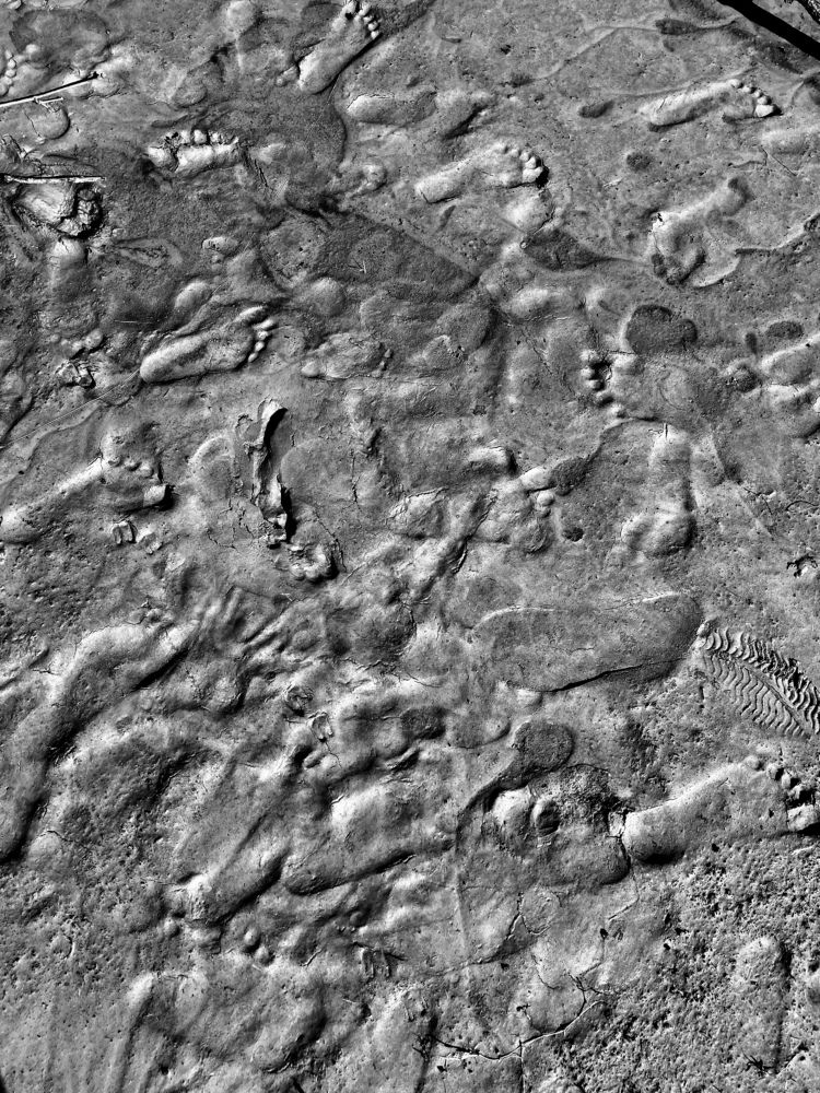 Photograph by Parnava Das