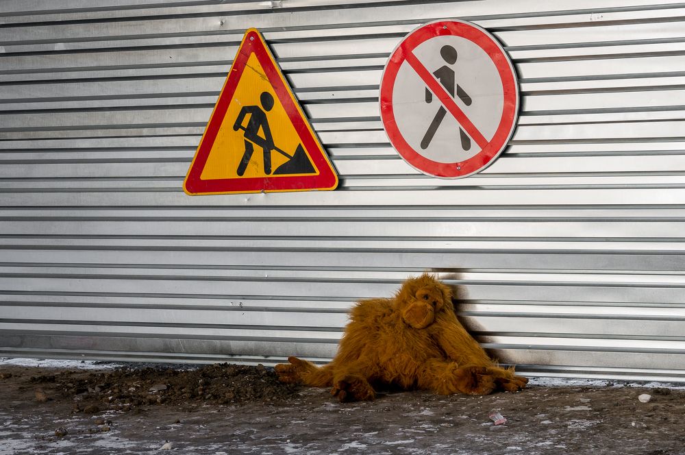 Photograph by Владимир Янчук