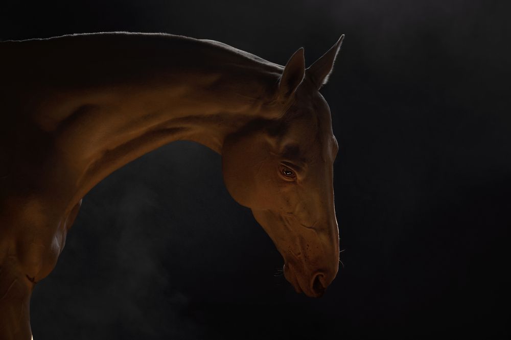 Photograph by Лия Макари