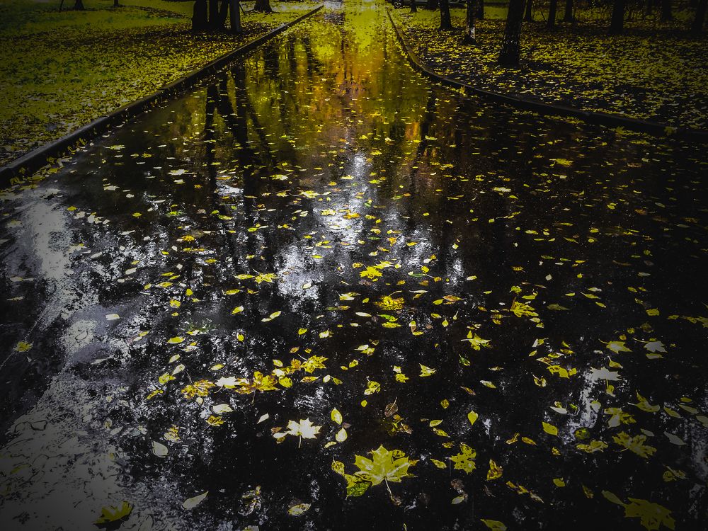 Photograph by Мария Колоскова