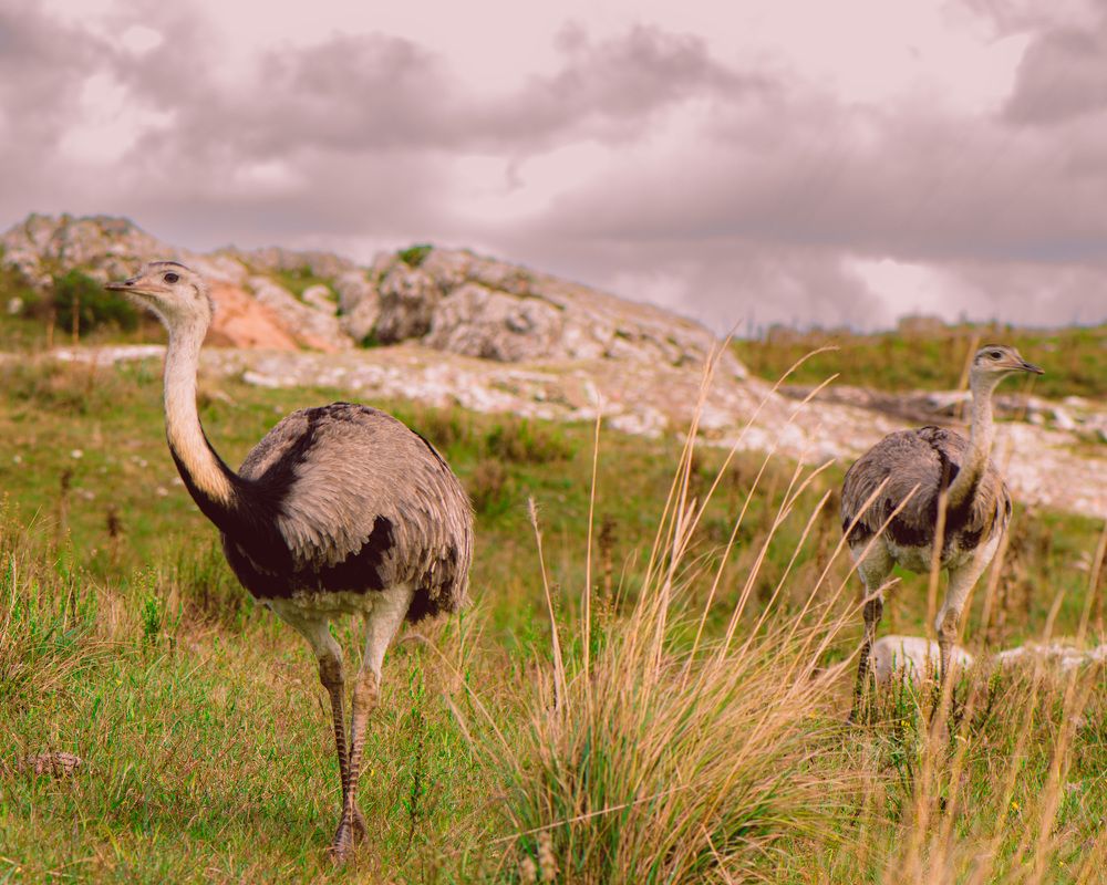 Photograph by Elias Deus