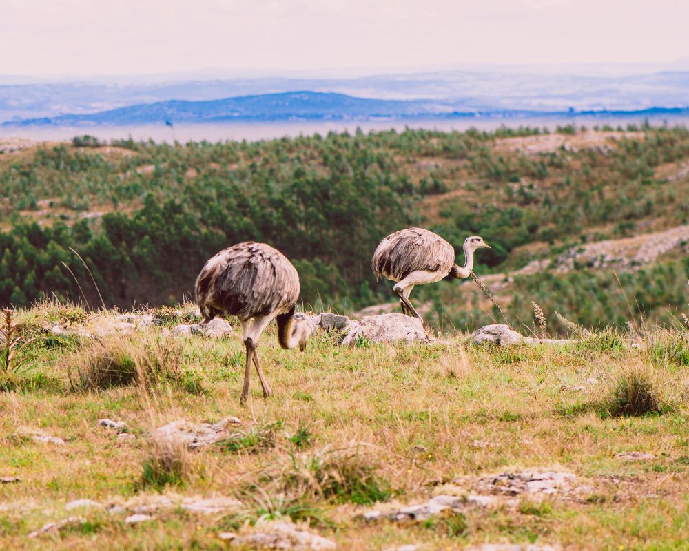 Photograph by Elias Deus