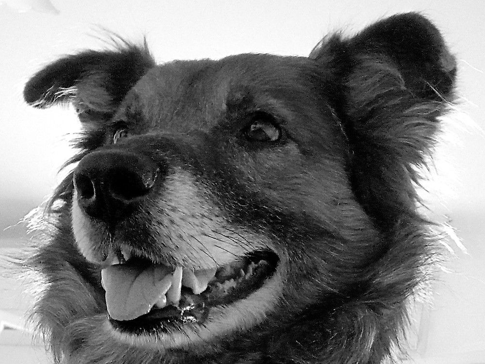 Photograph by Сергей Рапопорт