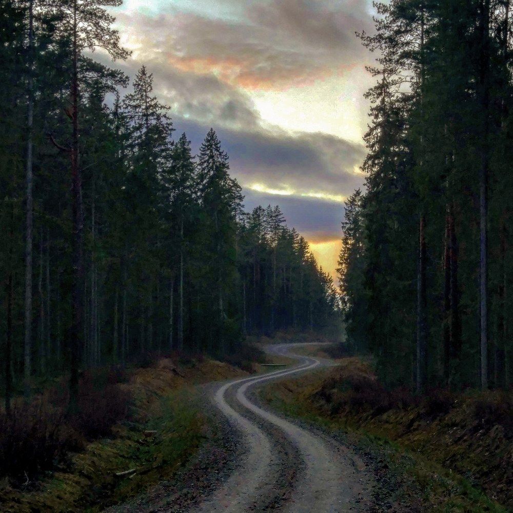 Фотография автора Serega3