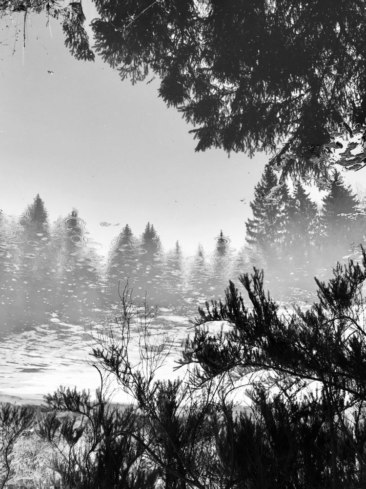 Photograph by Наталья Вистинь