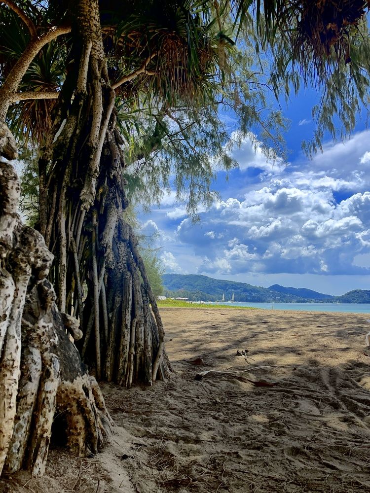 Великое спокойствие природы