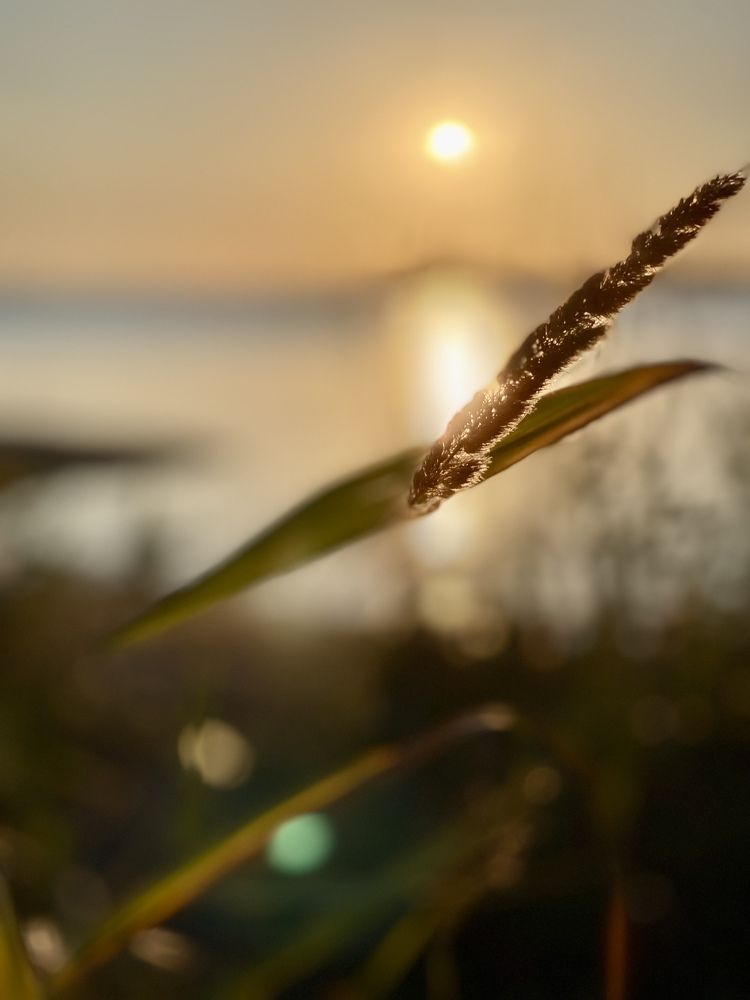 Photograph by SergioSteel