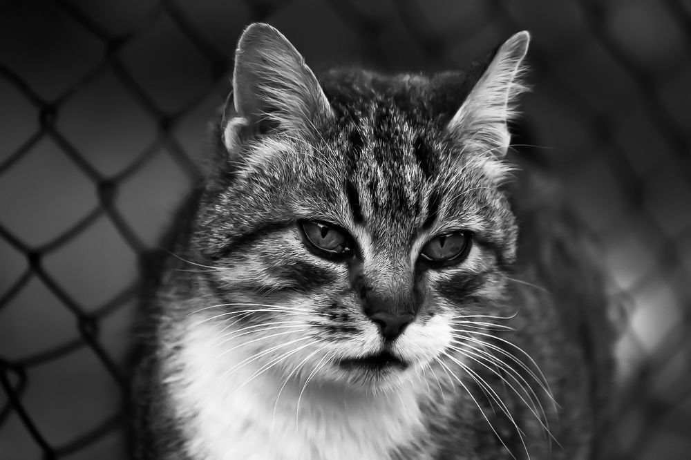 Photograph by Teresa MoliNaro