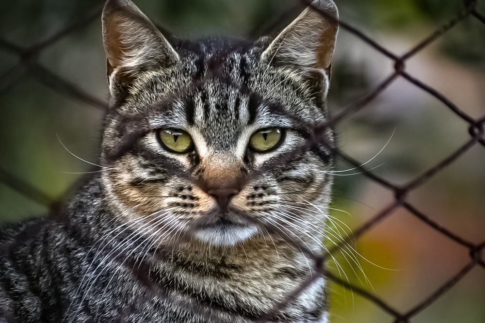 Photograph by Teresa MoliNaro