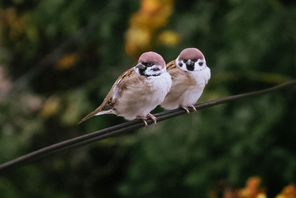 Photograph by Наталья Рябоконенко
