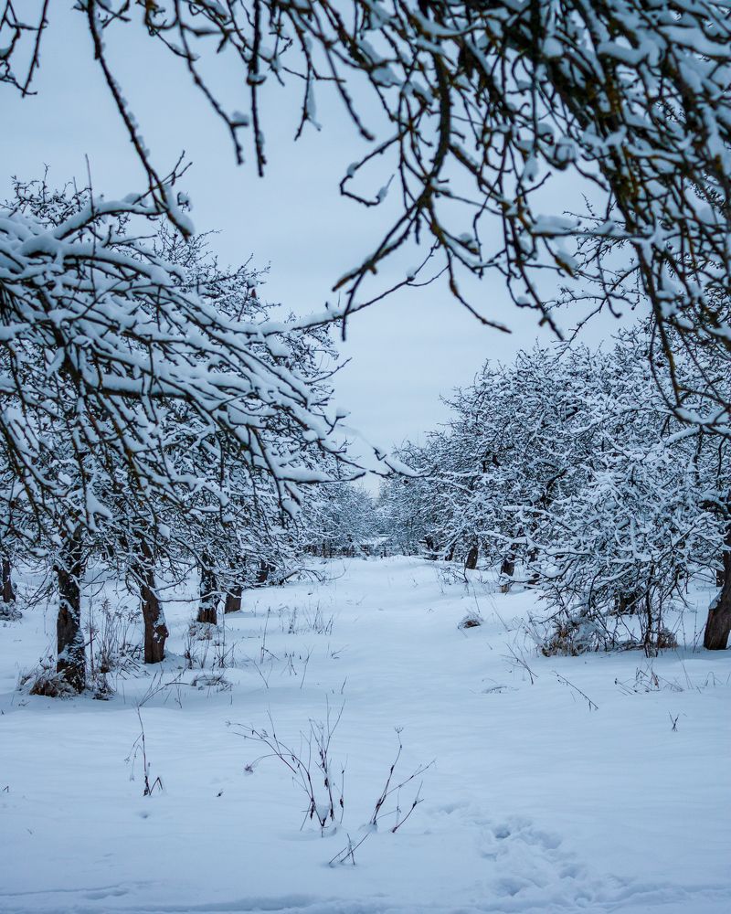 Photograph by Михаил Андронов