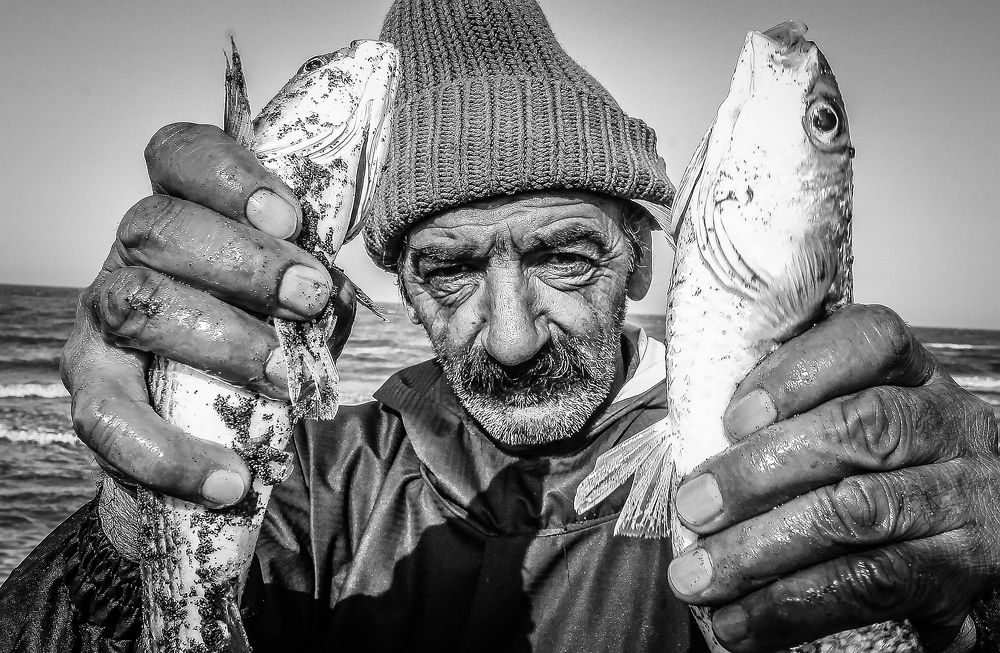 Photograph by danianian reza