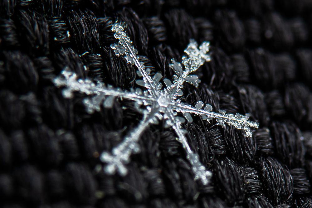 Photograph by Алексей