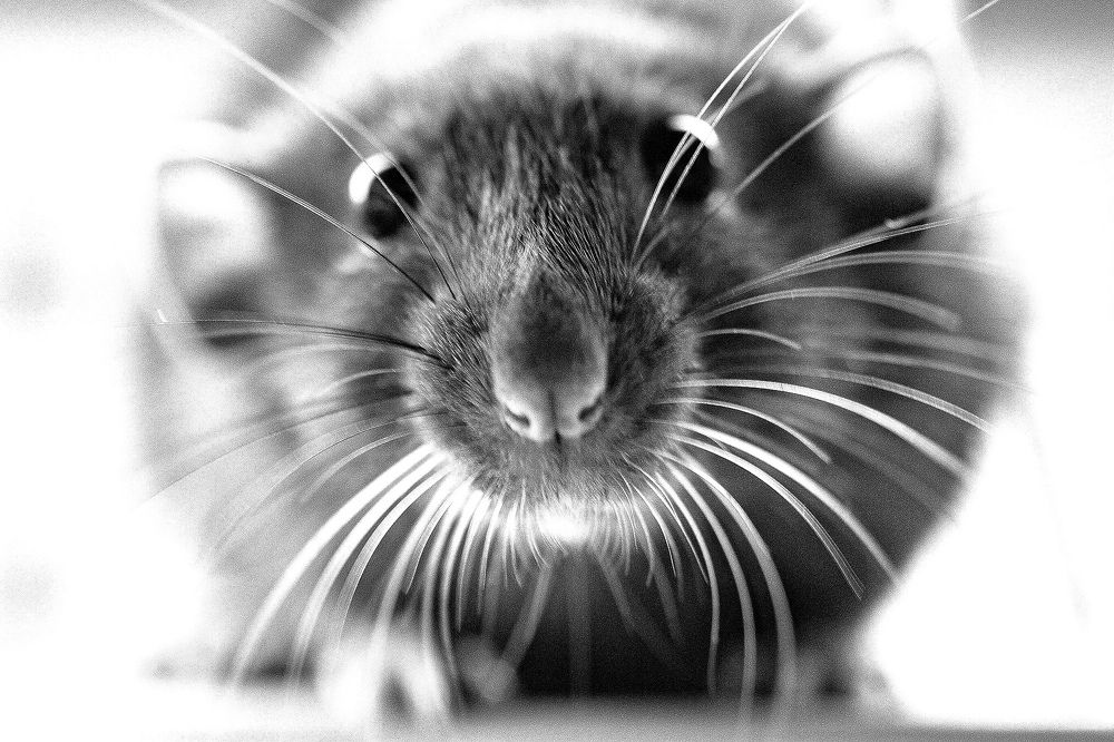 Photograph by Максим Никитин