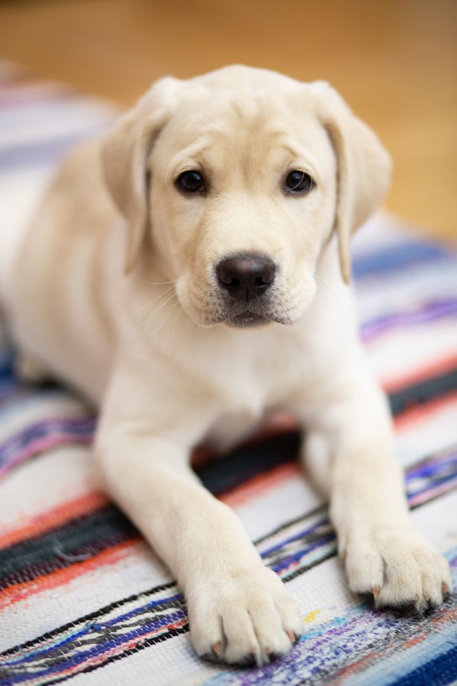 Photograph by Максим Никитин