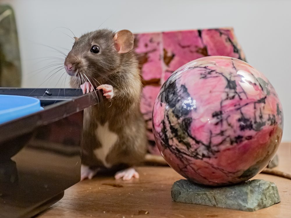 Photograph by Максим Никитин