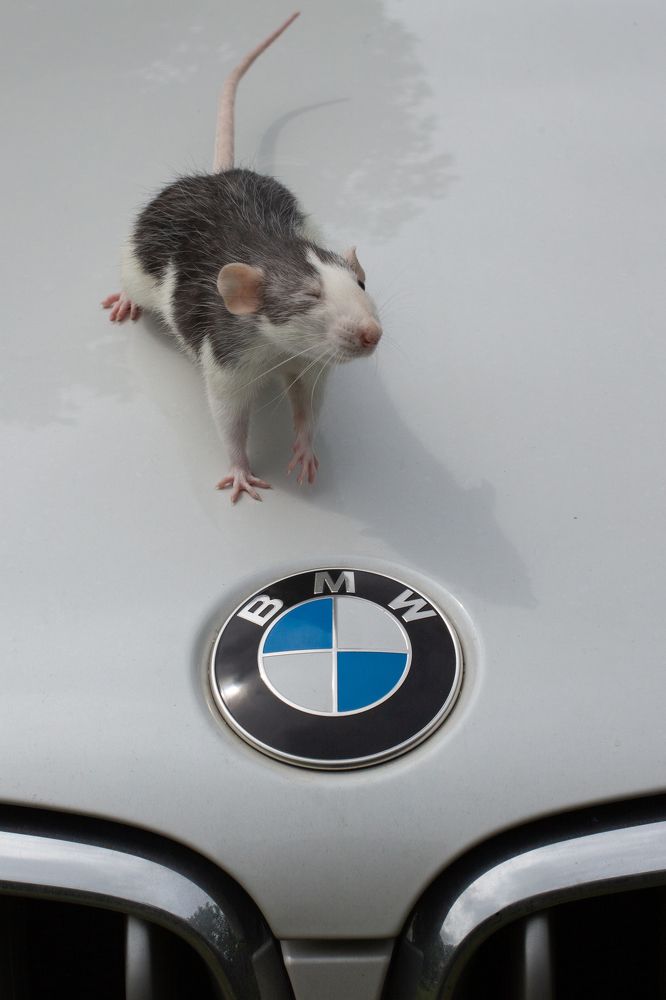 Photograph by Максим Никитин