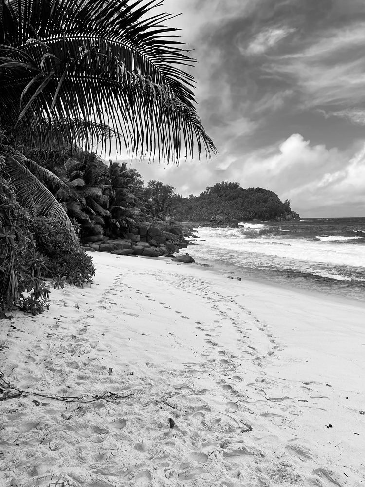 Photograph by Дарья