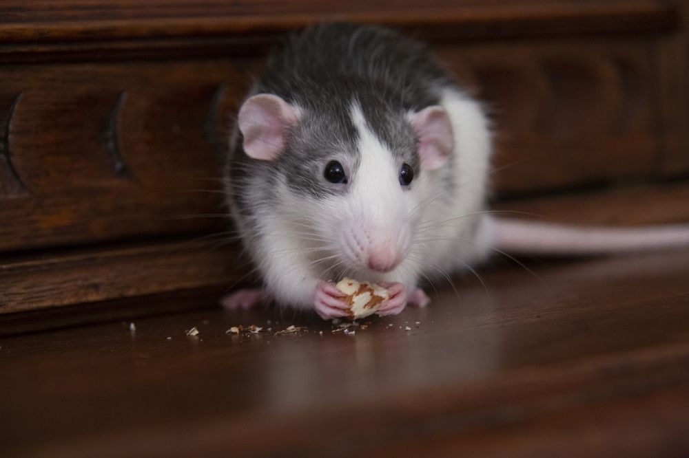 Photograph by Максим Никитин