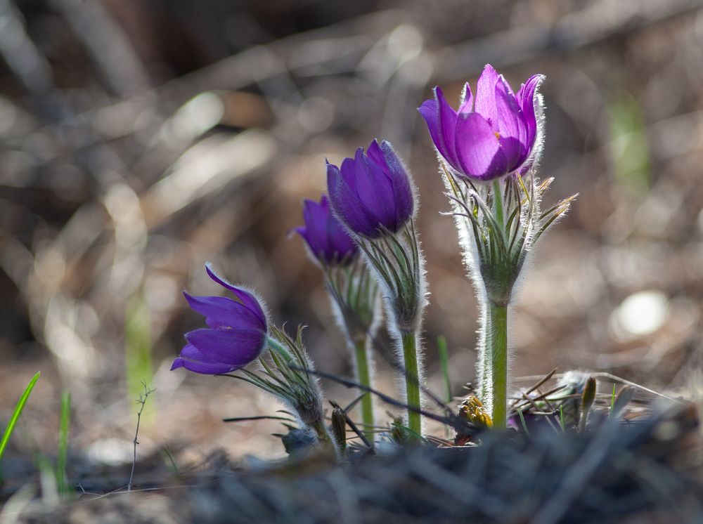 Photograph by Яна Соболева