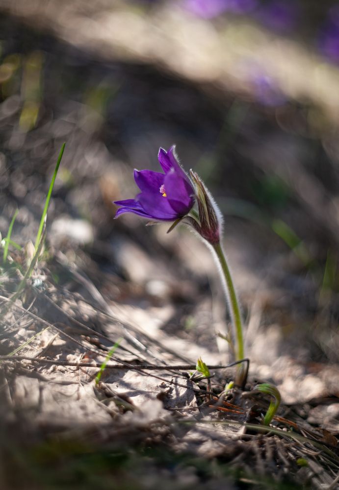 Photograph by Соболева Яна
