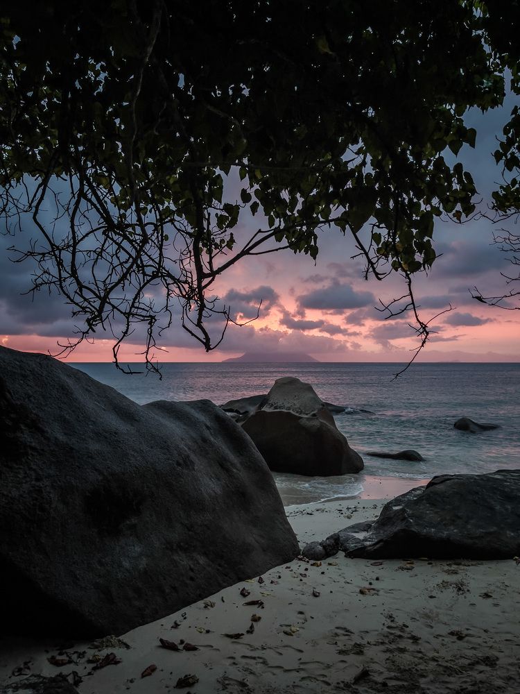 Photograph by Дарья