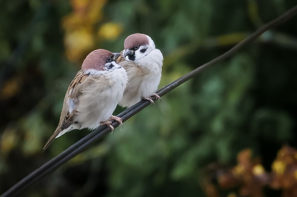 Photograph by Наталья Рябоконенко