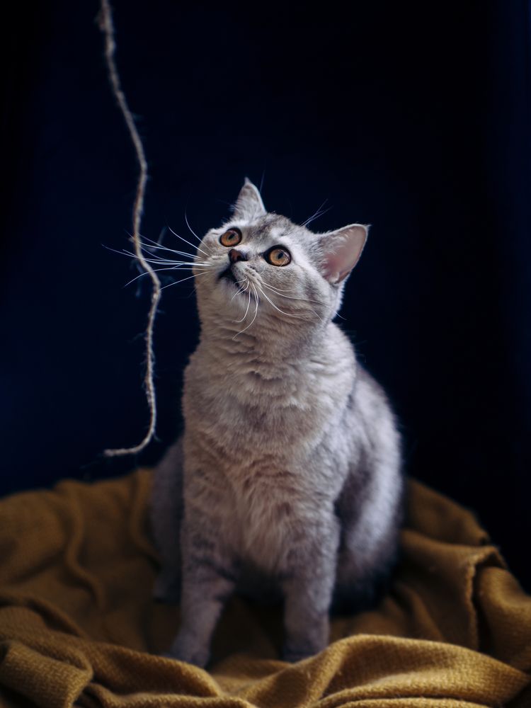 Photograph by Oxana Rovitskaya