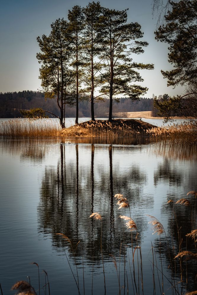 Photograph by Galina