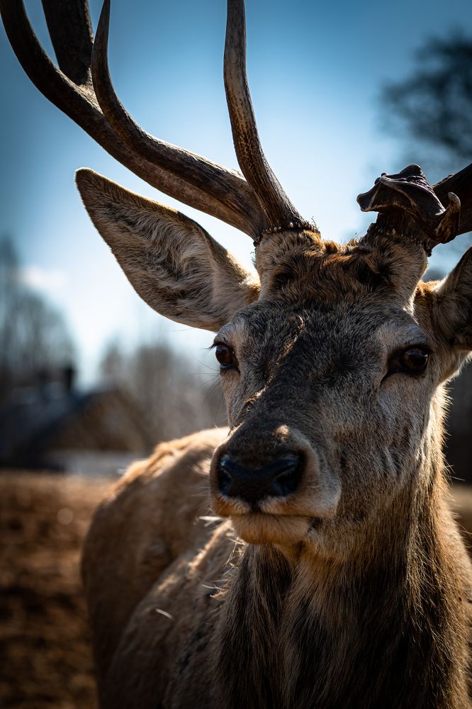 Photograph by Galina