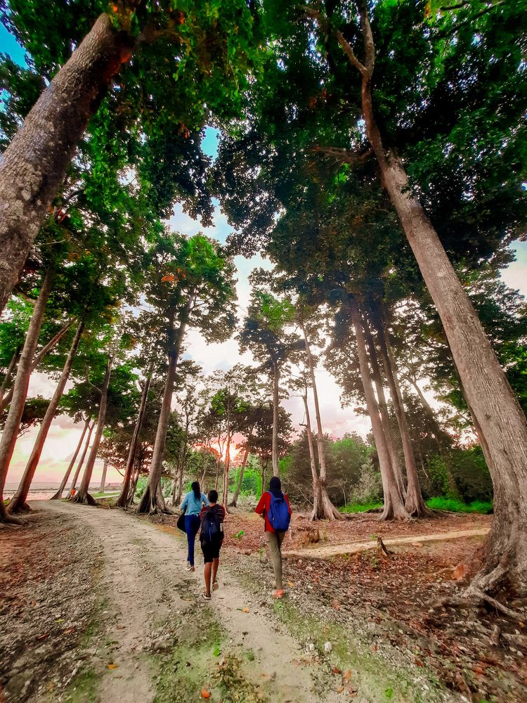 Photograph by A ANKITA RANI