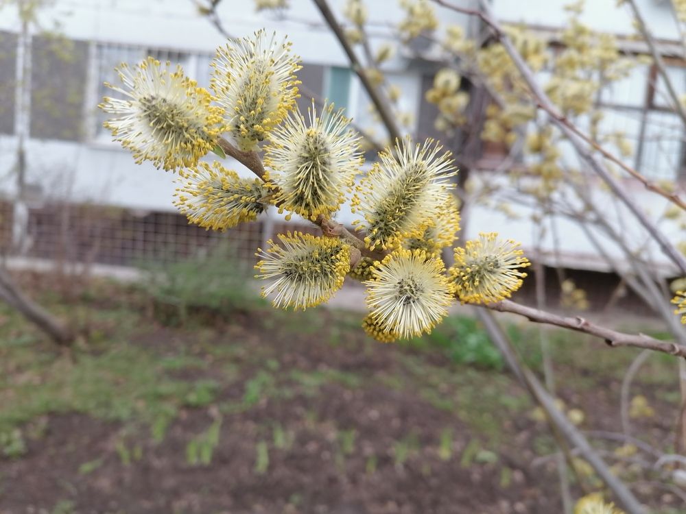 Photograph by Любовь Панфилова