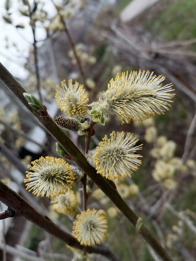 Photograph by Любовь Панфилова