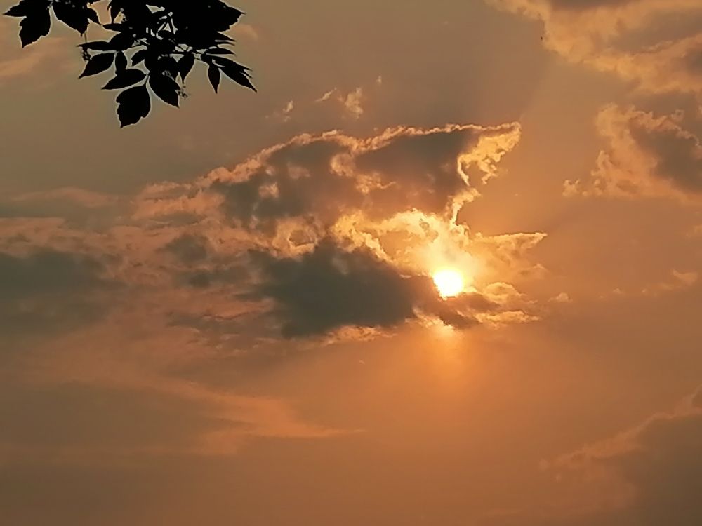 Photograph by Любовь Панфилова