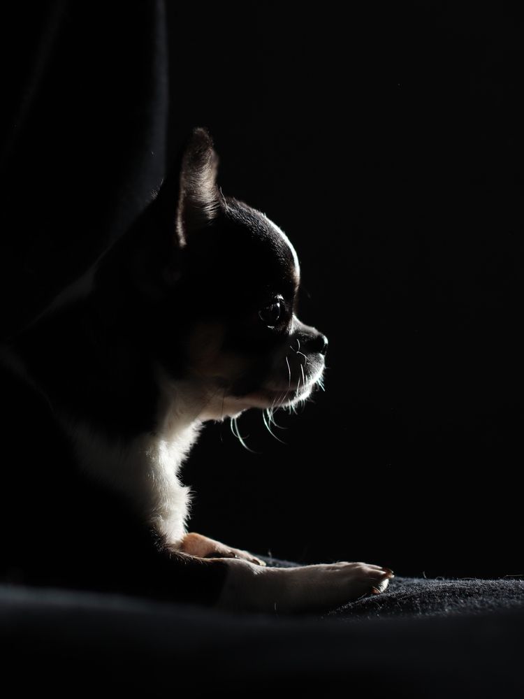 Фотография автора Irina